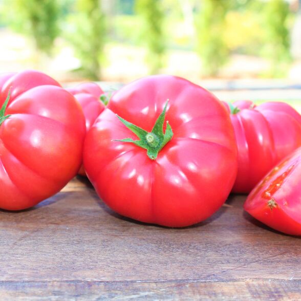Pomidory szklarniowe 6 kg