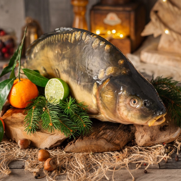 Karp patroszony świeży Milicz 2 kg